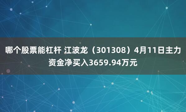 哪个股票能杠杆 江波龙（301308）4月11日主力资金净买入3659.94万元
