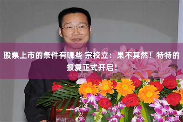 股票上市的条件有哪些 宗校立：果不其然！特特的报复正式开启！
