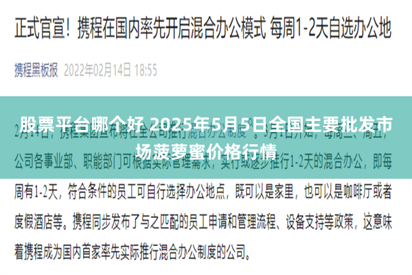 股票平台哪个好 2025年5月5日全国主要批发市场菠萝蜜价格行情