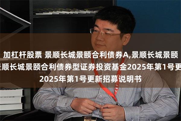加杠杆股票 景顺长城景颐合利债券A,景顺长城景颐合利债券C: 景顺长城景颐合利债券型证券投资基金2025年第1号更新招募说明书
