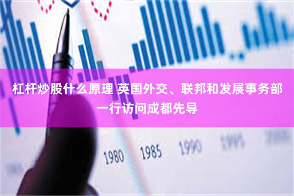 杠杆炒股什么原理 英国外交、联邦和发展事务部一行访问成都先导