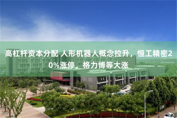 高杠杆资本分配 人形机器人概念拉升，恒工精密20%涨停，格力博等大涨
