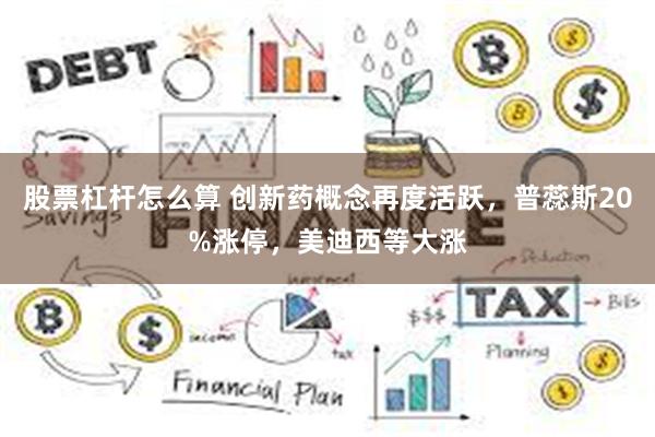 股票杠杆怎么算 创新药概念再度活跃，普蕊斯20%涨停，美迪西等大涨