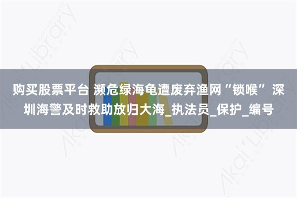购买股票平台 濒危绿海龟遭废弃渔网“锁喉” 深圳海警及时救助放归大海_执法员_保护_编号