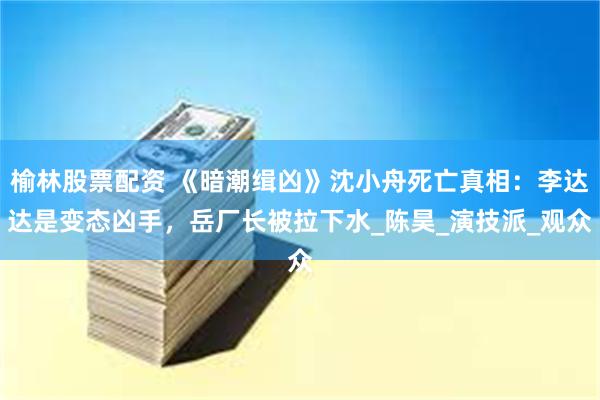 榆林股票配资 《暗潮缉凶》沈小舟死亡真相：李达达是变态凶手，岳厂长被拉下水_陈昊_演技派_观众