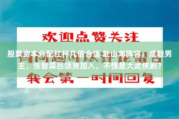 股票资本分配杠杆几倍合适 赴山海阵容：成毅男主，张智霖吕颂贤加入，不愧是大武侠剧？