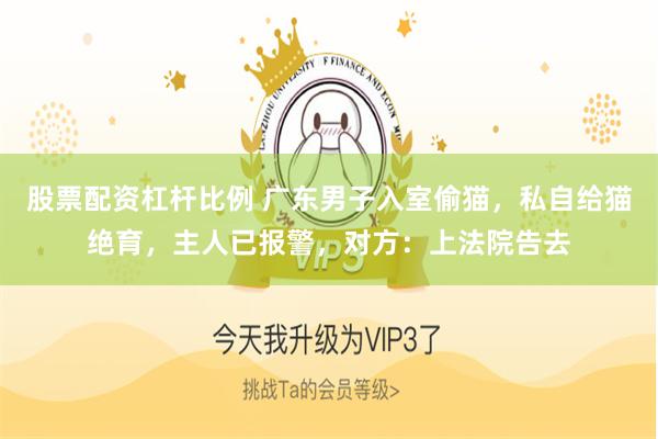 股票配资杠杆比例 广东男子入室偷猫,私自给猫绝育,主人已报警,对方:上法院告去